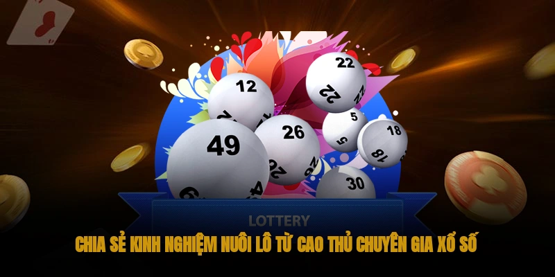 Kinh nghiệm nuôi lô kép từ cao thủ