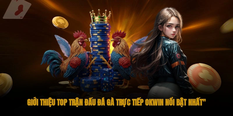 Top các trận đá gà trực tiếp tại OKWIN