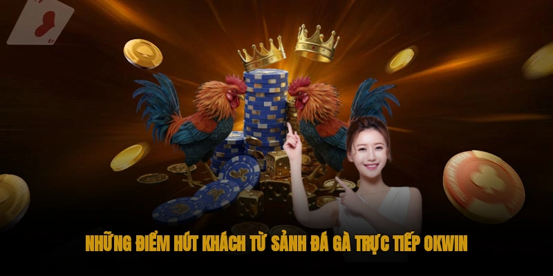 Những điểm thu hút khách chơi đá gà trực tiếp OKWIN