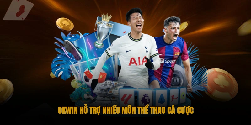 OKWIN hỗ trợ cá cược nhiều môn thể thao